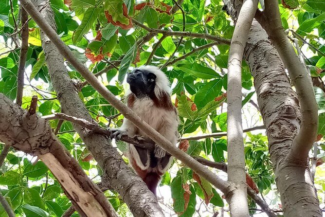 Biking Tour Cartagena - FAQs