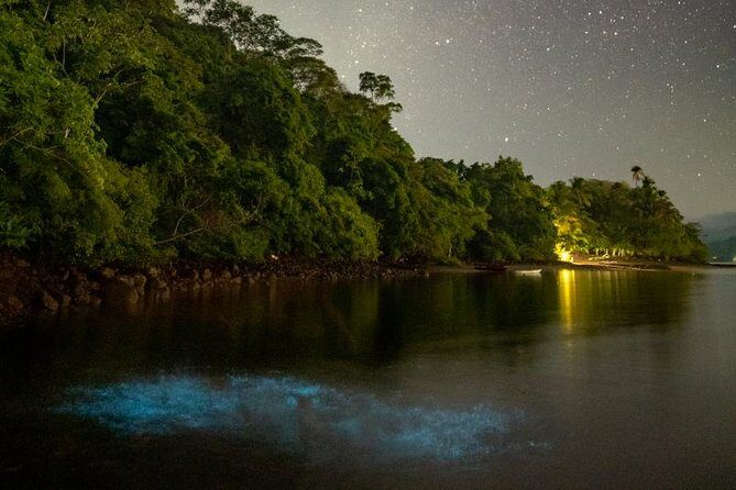 Bioluminescent Kayak Tour - Who Should Consider This Tour?