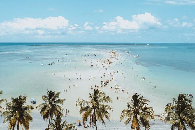 Boat Tour in Maragogi - The Sum Up