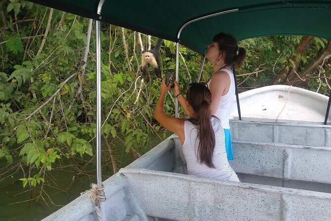 Boat tour in the Panama Canal to Monkeys and sloths islands - A Closer Look at the Experience