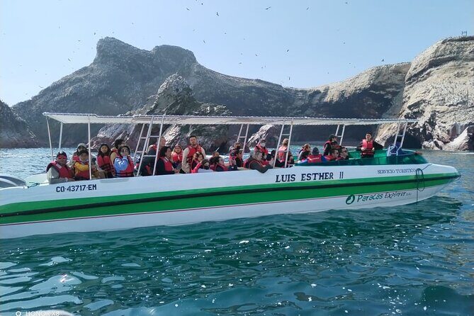 Boat Tour of the Ballestas Islands in Paracas - Who Is This Tour Best For?