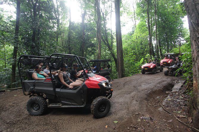 Buggy Tour in Jaco - Real Experiences and What to Expect