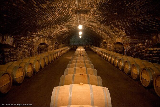 Cajon Del Maipo with Lunch and Visit to One Winery - Why This Tour Offers Great Value