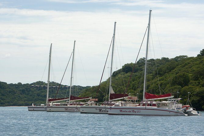 Catamaran Sailing & Snorkeling from Playas del Coco - An In-Depth Look at the Playas del Coco Catamaran Tour
