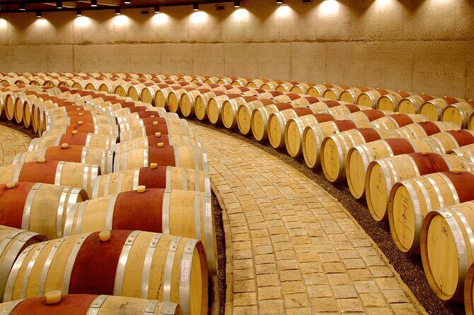 Catena Zapata Winery, Lunch and Private Transportation - Detailed Review: What to Expect from This Mendoza Wine Tour