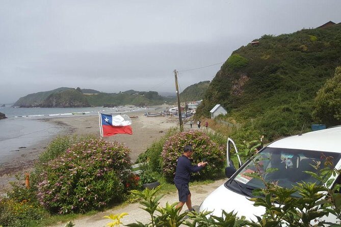 Chiloe Island - Puñihuil Tour - The Chiloe Island – Puñihuil Tour: A Deep Dive