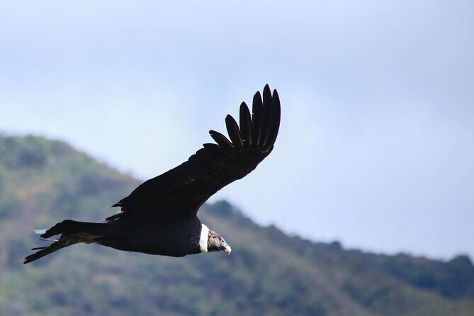 Chingaza Wildlife Páramo Adventure - Why This Tour Stands Out