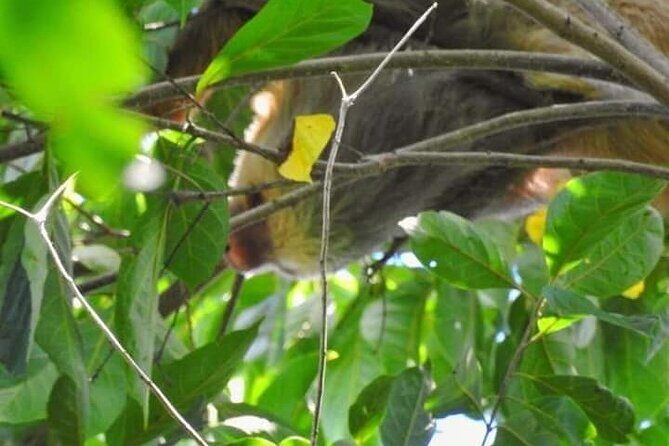 Chocolate and Coffee Tour Farm Don Jorge - The Itinerary in Detail: What to Expect