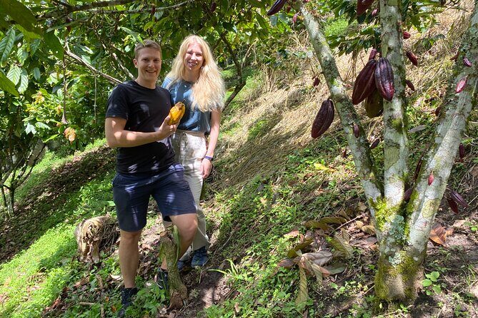 Chocolate tour near Medellin - Final Thoughts: Is It Worth It?