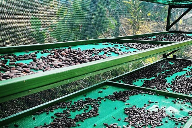 Chocolate Tour Standard #1: Transportation Included without Lunch - The Sum Up: Is This Tour Right for You?