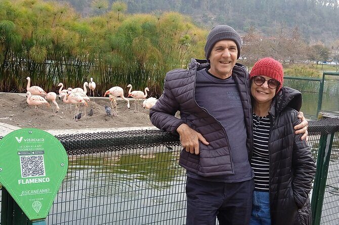 City tour by Santiago of Chile -A beautiful experience - Half day - Why Travelers Keep Coming Back for This Tour