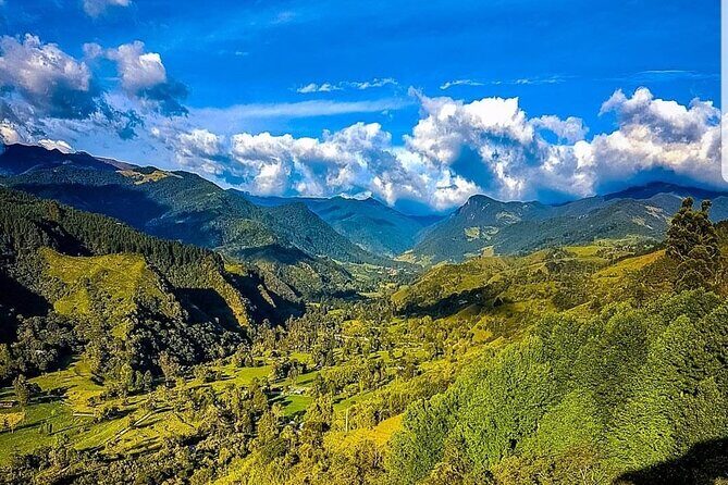 Cocora, Salento and Filandia (The daughter of the Andes) Walking Tour in Quindio - A Deep Dive into the Tour Experience
