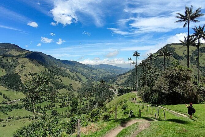 Cocora Valley Shared Tour - Exploring the Itinerary: What’s in Store
