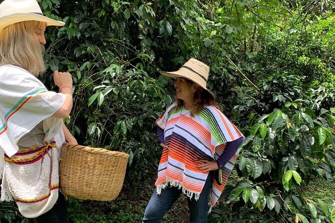 Coffee Farm Tour from Bogotá  Be a Farmer for a Day - What’s Included and What to Consider