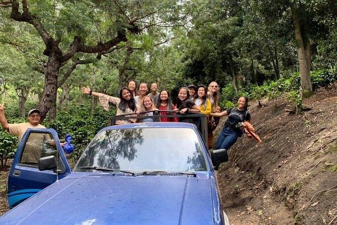 Coffee Tour Adventure Antigua Guatemala - The Full Coffee Experience: What to Expect