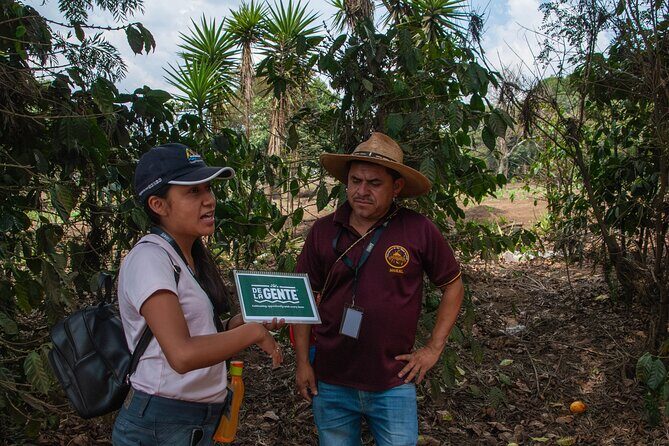 Coffee Tour in Antigua Guatemala - The Sum Up
