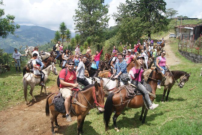 Coffee Tour In Horse Riding and Lunch In Medellin - What We Love About This Tour