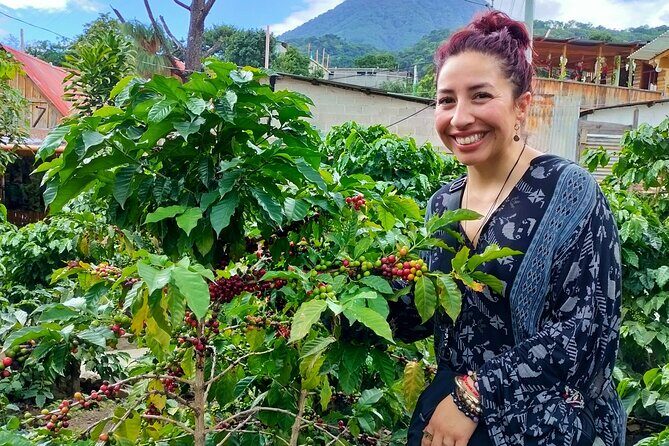 Coffee Tour in Lake Atitlán - A Closer Look at the Itinerary