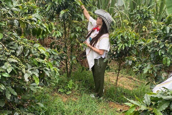 Coffee tour in Medellín with tastings and transportation - Considerations Before Booking