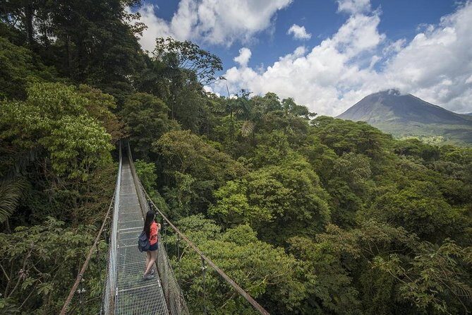 Combined Tour (Hanging Bridges, La Fortuna Waterfall, Arenal Volcano) - In-Depth Look at the Tour Experience