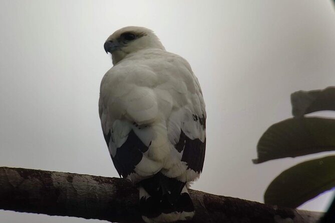 Combo 3 Best Tours In La Fortuna - What to Expect from the Tour