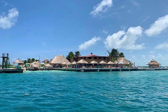 Coral Garden Shark and Sting Ray Alley Snorkeling - Who Should Join This Tour?