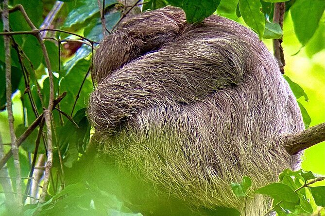 Corcovado National Park San Pedrillo Station from Uvita - Final Words