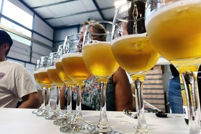 Costa Rica Central Valley Wine, Beer, and Mead Tour and Tasting - Final Thoughts