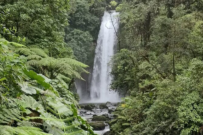 Costa Rica Day Trip Tour with Lunch - Who Should Consider This Tour?