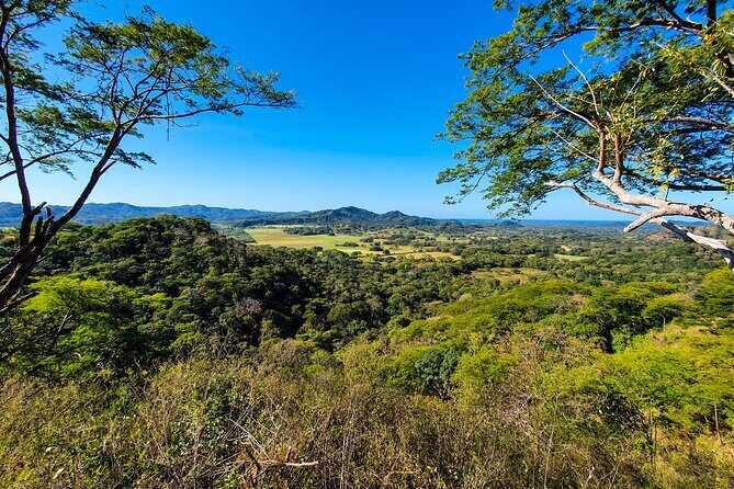 Costa Rica Monkey Jungle Zipline from Tamarindo - Who Should Consider This Tour?