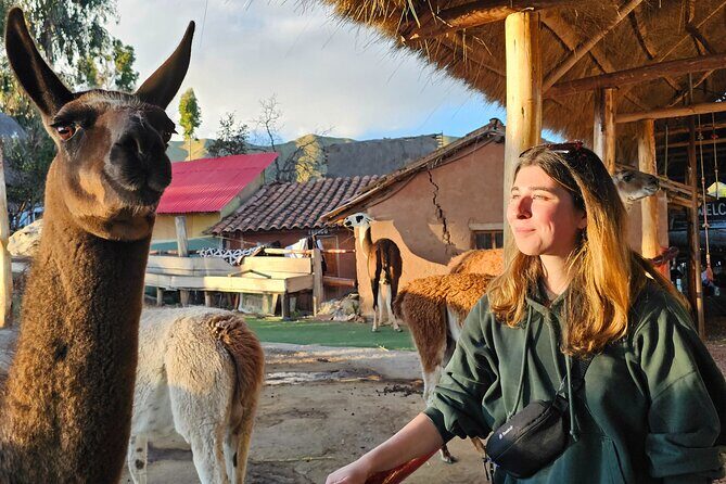 Cusco: Alpaca and Llama Farm Tour with Transfer & Weaving Demo - Practical Tips for Your Visit