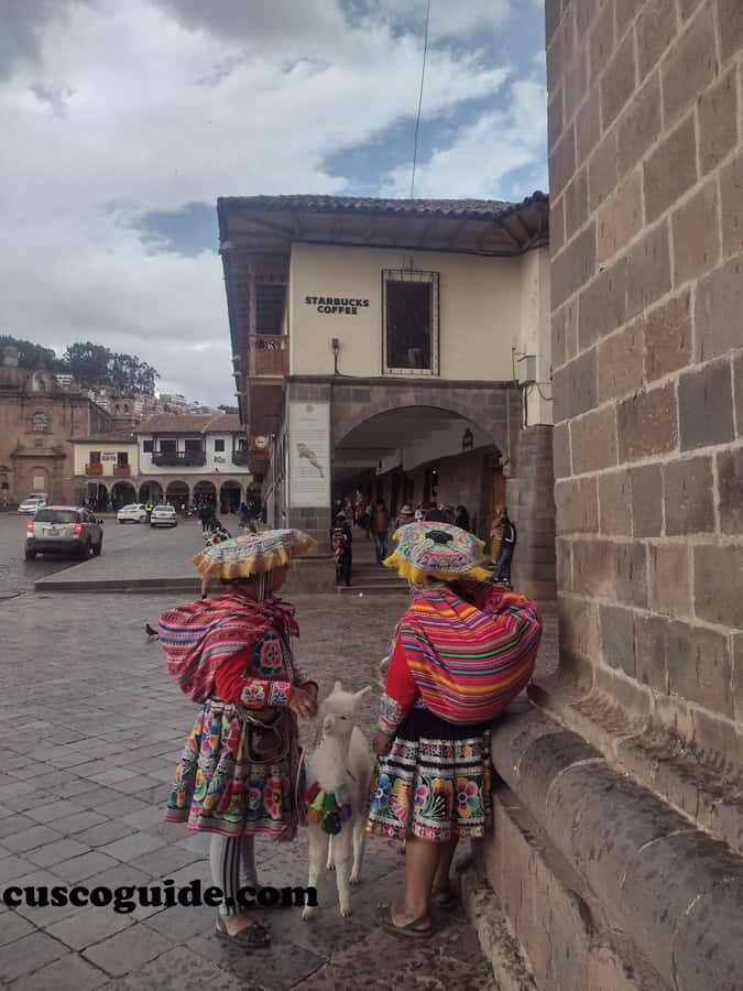 Cusco Walking Tour: Downtown, Sun Temple & San Blas Views - Who Will Enjoy This Tour?