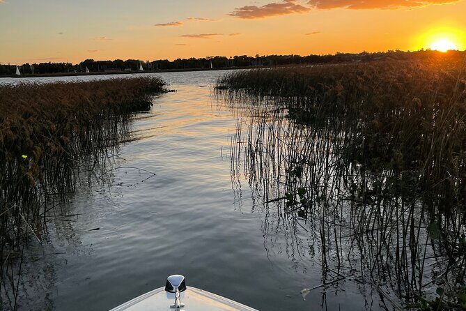 Customized Tigre Delta Tour lunch and drink included - Final Thoughts: Who Will Love This Experience?