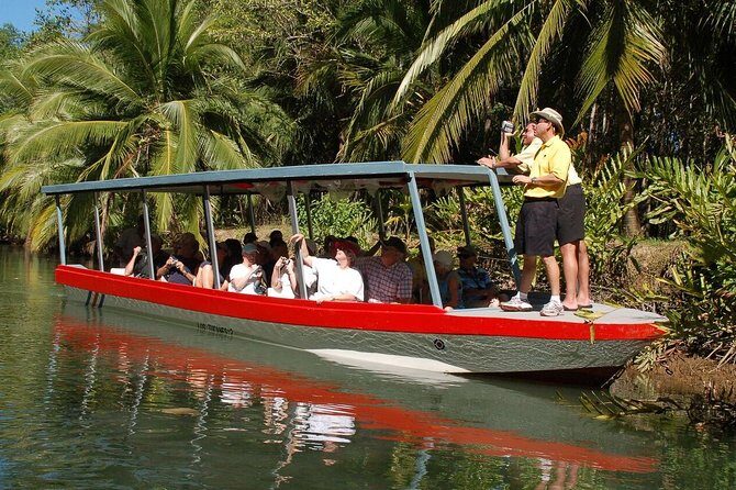Damas Island Mangrove Boat Tour with Wildlife from Manuel Antonio - Final Reflection: Who Will Enjoy This Tour?