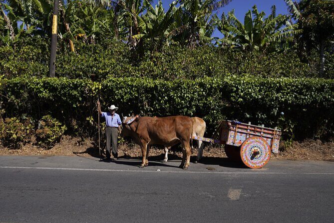 Day Tour: Doka Estate, Poás Volcano and La Paz Waterfalls - Frequently Asked Questions