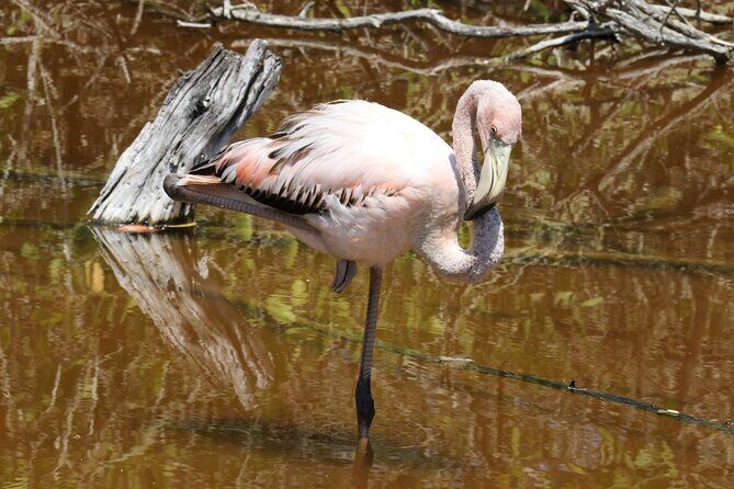 Day Tour to Floreana Island with Snorkeling and Fishing - Practical Details: What You Need to Know