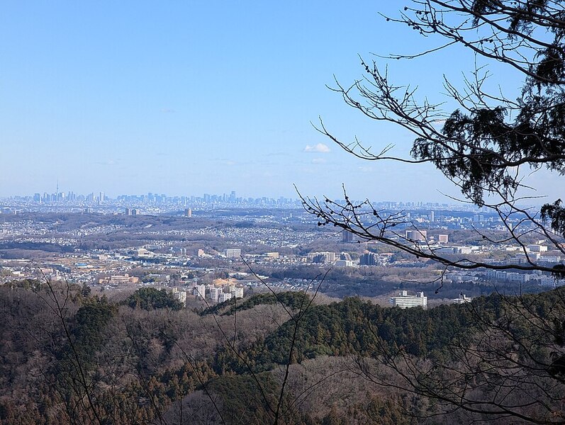 Mount Takao (mountain in Tokyo, Japan)