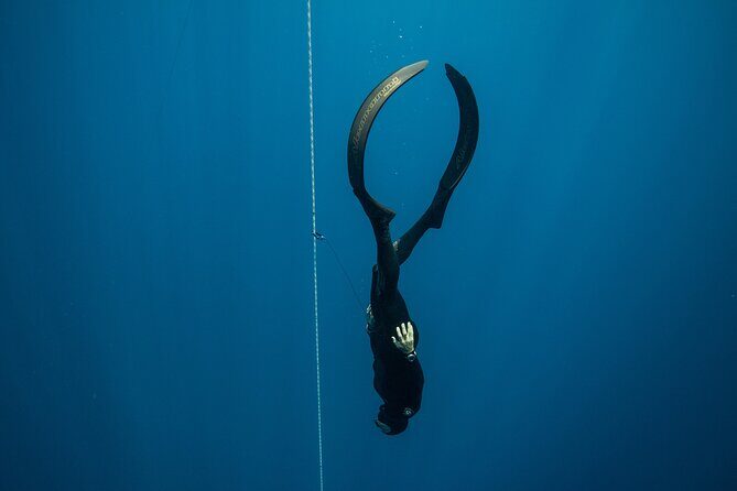 Discover Freediving course - An In-Depth Look at the Discover Freediving Course