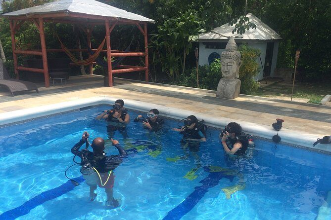 Discovering Diving / Discover Scuba Diving (DSD) - An In-Depth Look at the Experience
