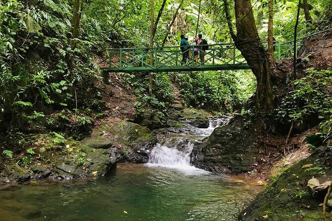 Ebano Waterfalls and Rainforest Safari Tour - Final Thoughts: Is This Tour Worth It?