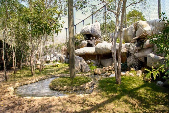 Eco Plan National Aviary and Lunch in Playa Mambo Beach Barú - Why This Tour Offers Good Value