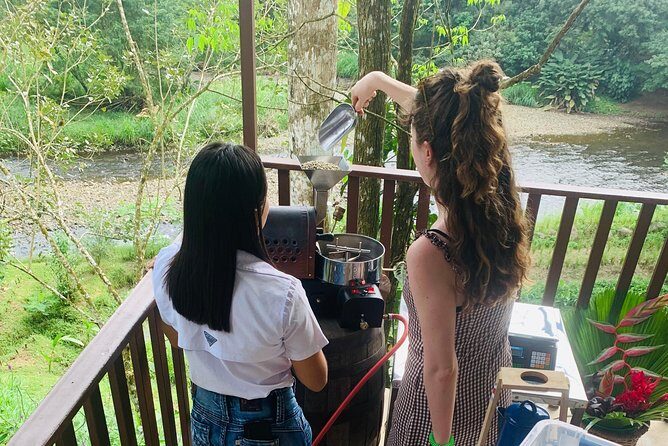 Eden Mocca Tour - FAQs