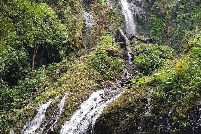 El Tigre Waterfalls Hiking Tour with Lunch and Nature Guide - Who Would Love This Tour?