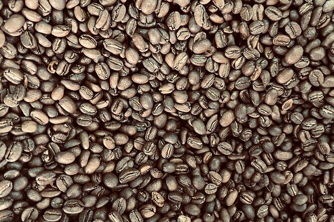 Electric Mountain Bike and Pool near Medellín (Adventure&relax) - Why Travelers Love This Tour