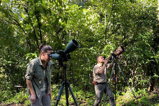 Esquipulas Rainforest - Private Birding - Fully Customizable Tour - Final Thoughts