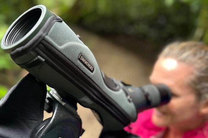 Exclusive Cloud Forest Birding + FREE Binoculars + hummingbirds - Who Should Take This Tour?