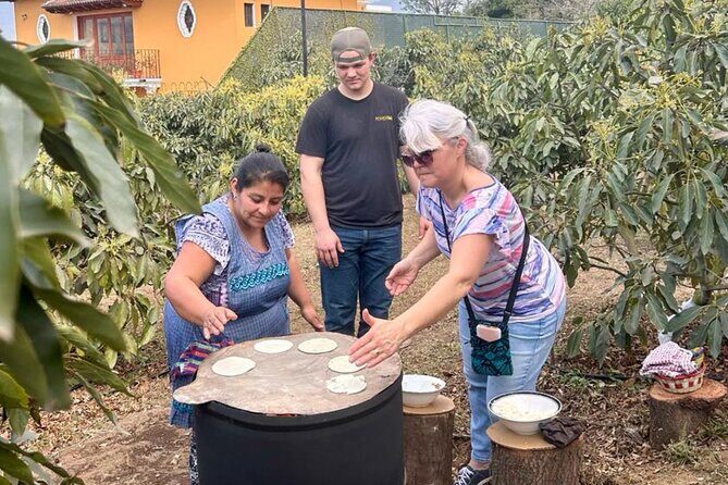 Experience: Organic Coffee, Avocados, Honey & More! - An In-Depth Look at the Eco-Farm Tour