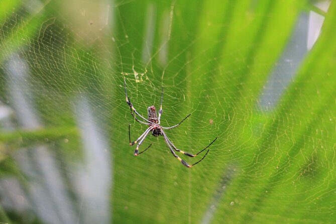Explore Manuel Antonio National Park with Expert Guide - Who Will Love This Tour?