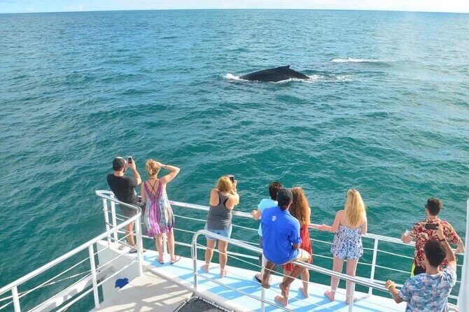 Flamingo Family Fun Catamaran Snorkel:Comfortable shaded seating - Snorkeling and Marine Encounters