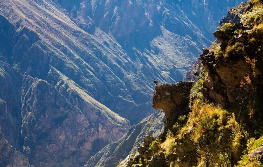 From Arequipa: Colca Valley & Thermal Baths Small-Group Trip - The Value of This Tour